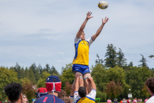 A male BC Bears rugby player is lifted to catch the ball in a lineout