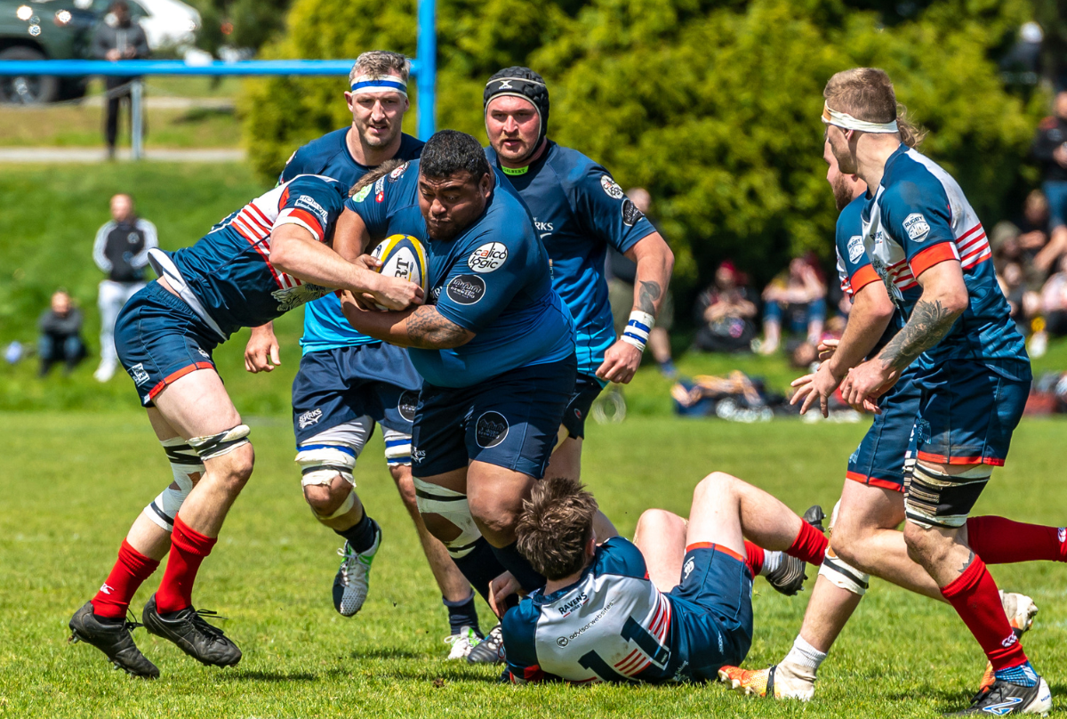 A male Rugby player runs with the ball through two tackles during a match