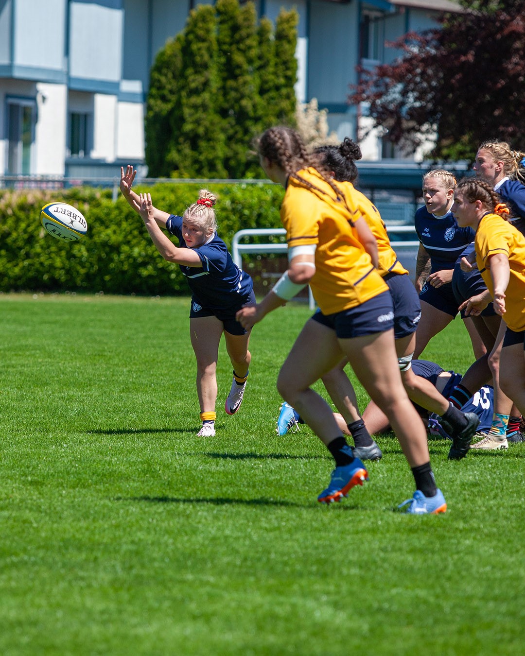 BC Rugby Blue vs Gold Match 3 - Alfred Meikleham