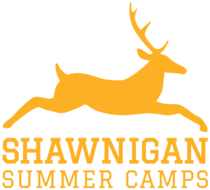 Summer-Camps-Logo-gold